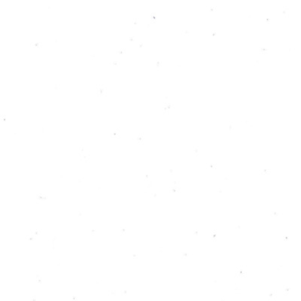 Meet your Posher, Ella